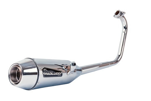 [EM160ROUSERNS22-D] BAJAJ ROUSER NS 160CC ST2 CROMO